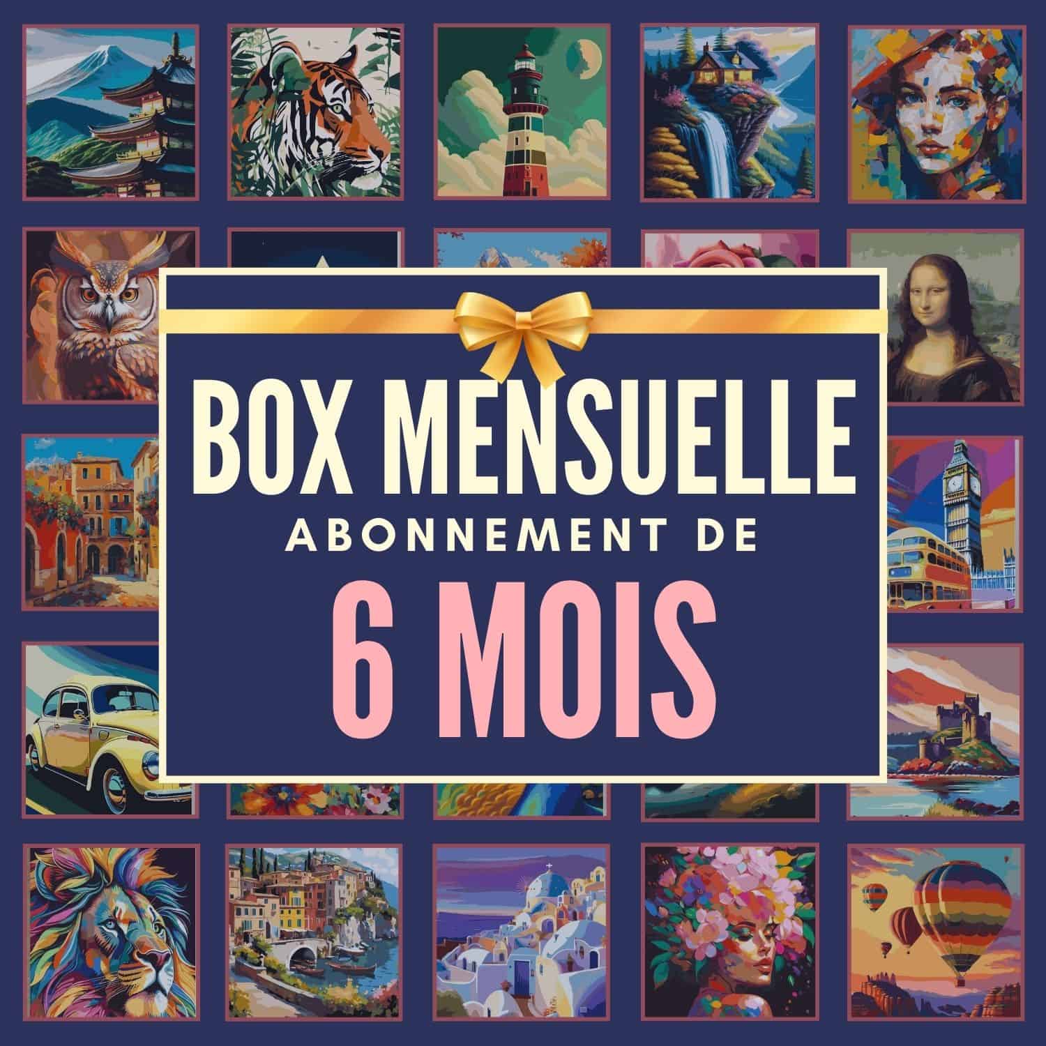 Box Mensuelle 6 Mois - 2 Kits De Peinture Par Numros