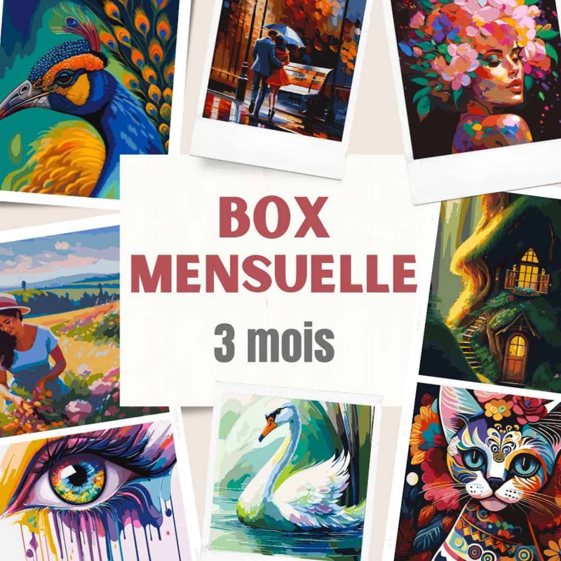 Peinture par numéro Pop Art Kit de peinture par numéro Adulte Peinture à  l'huile bricolage Kit de bricolage Décoration d'intérieur CADEAU DE NOËL -   France